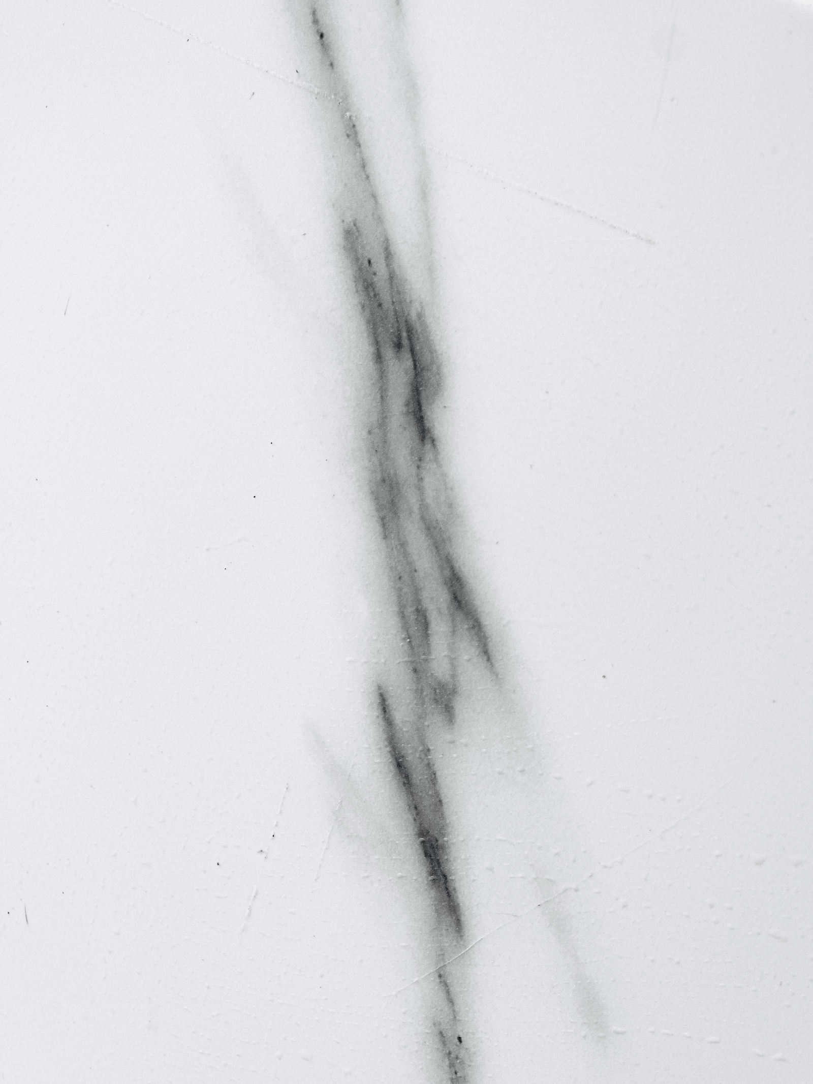 Carrara White